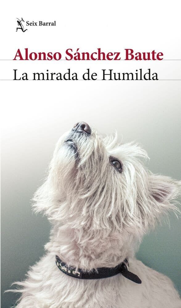 La mirada de Humildad | Alonso Sanchez Baute