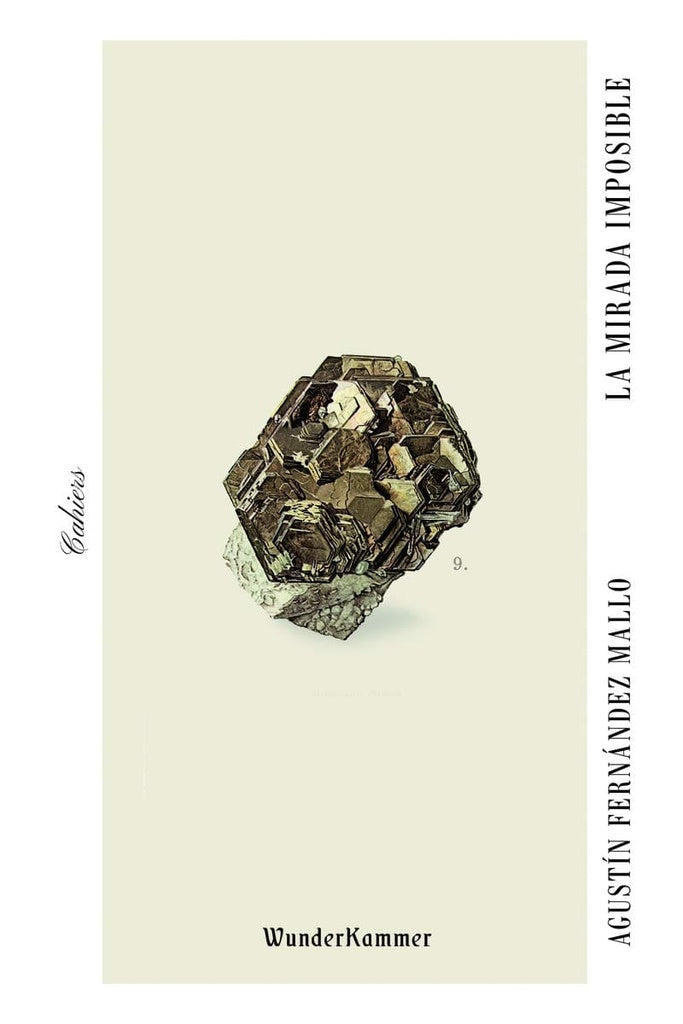 LA MIRADA IMPOSIBLE | AGUSTÍN FERNANDEZ MALLO