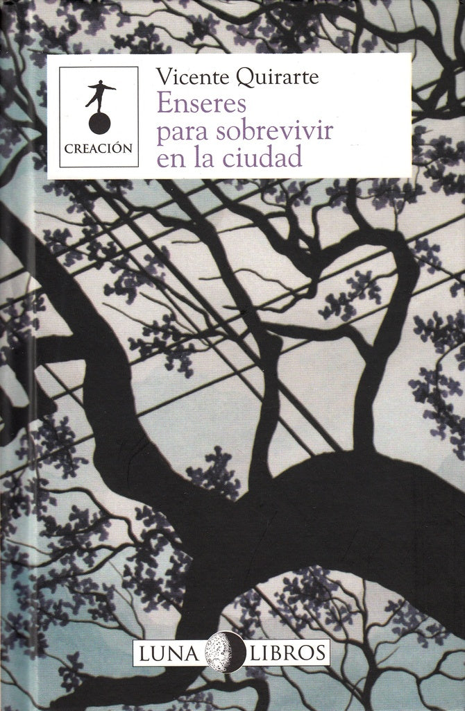 Enseres para sobrevivir en la ciudad | VICENTE QUIRARTE