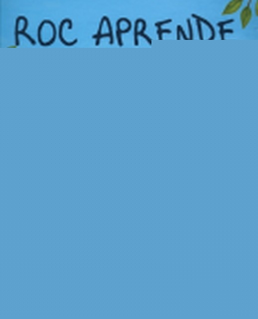 ROC APRENDE A LEER | TAD HILLS