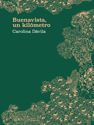 Buenavista, un kilometro | Carolina Dávila