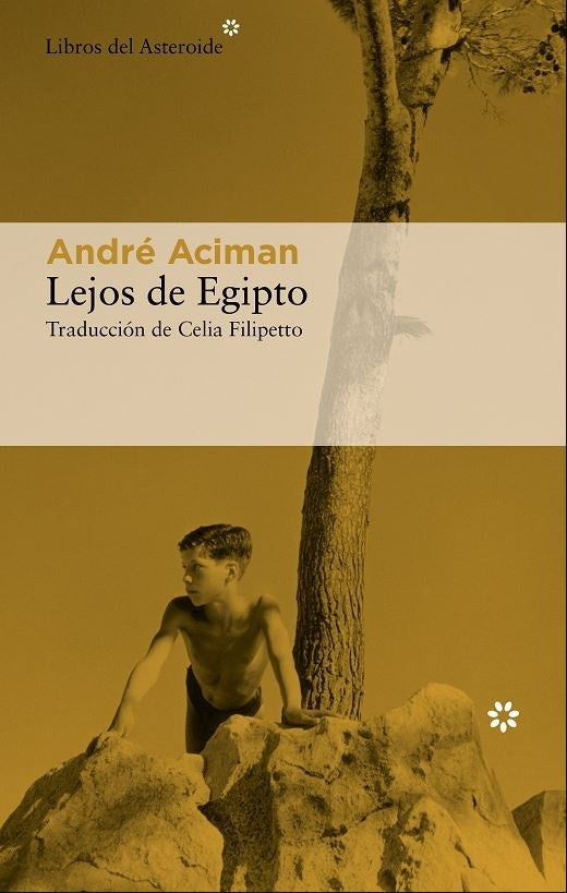 LEJOS DE EGIPTO | André Aciman