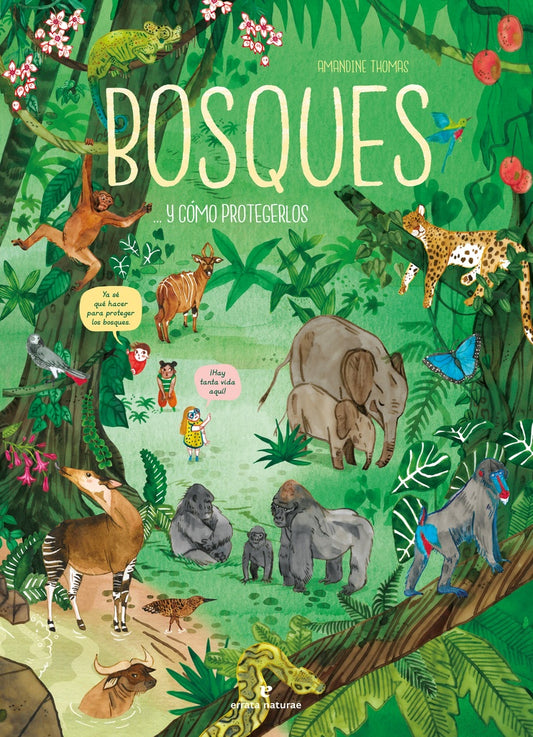 BOSQUES Y COMO PROTEGERLOS | Amandine THOMAS