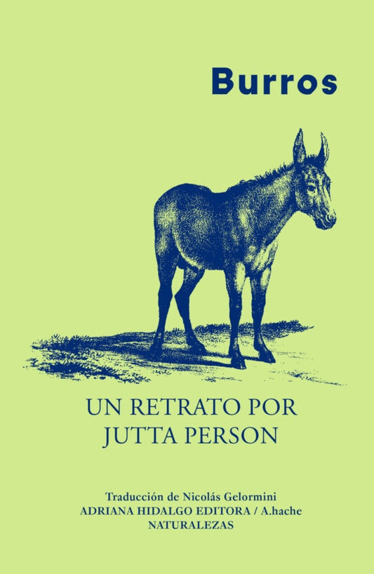 BURROS UN RETRATO POR JUTTA PERSON | Jutta PERSON