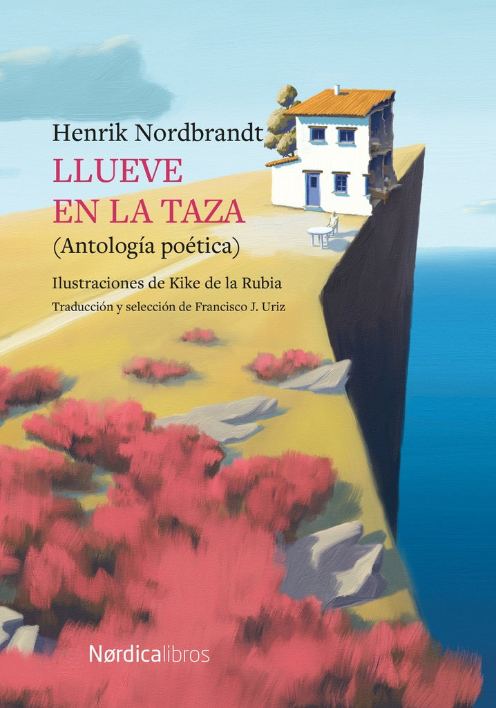 LLUEVE EN LA TAZA | Henrik NORDBRANDT