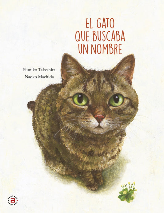 GATO QUE BUSCABA UN NOMBRE | F TAKESHITA