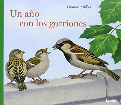 UN AÑO CON LOS GORRIONES | THOMAS MULLER