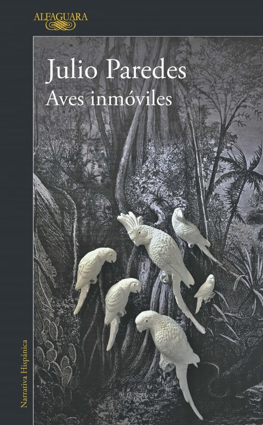 Aves inmóviles | Julio Paredes