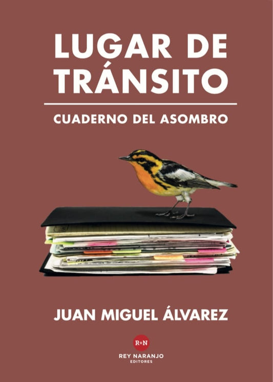 LUGAR DE TRÁNSITO Cuaderno del asombro | Juan Miguel Álvarez
