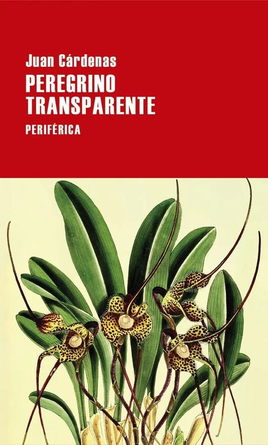 PEREGRINO TRANSPARENTE, EL | Juan Cárdenas