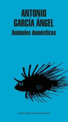 ANIMALES DOMESTICOS | Antonio García Ángel