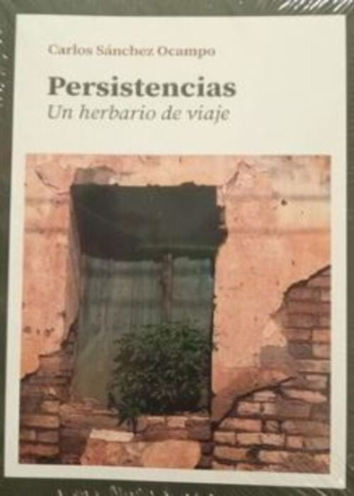 Persistencias | CARLOS SANCHEZ