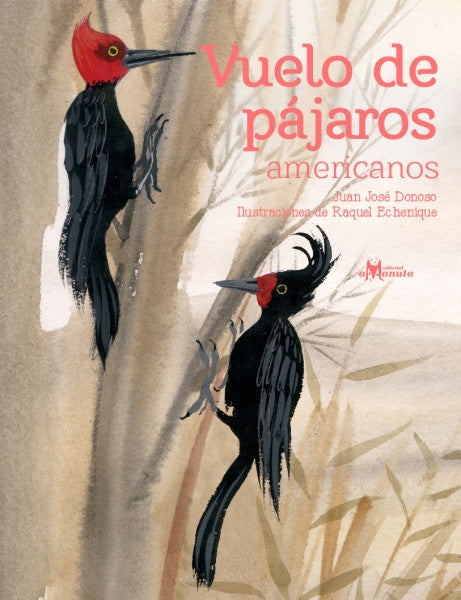 Vuelo de pajaros americanos | Donoso, Echenique